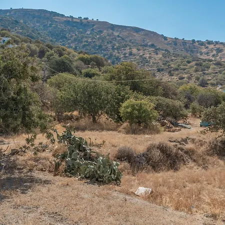 Frantzis 4 דירה *