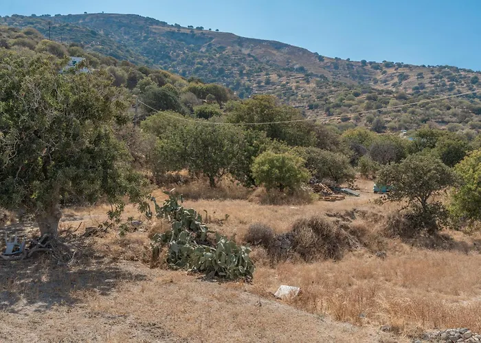 Frantzis 4 Apartmán *